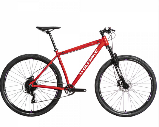 Bicicleta roja 29