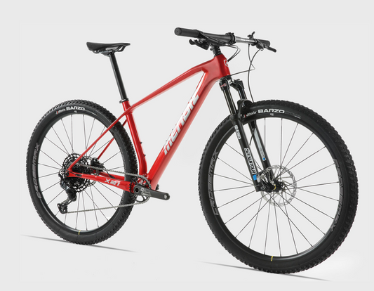 BICICLETA MONTAÑA MENDIZ X21