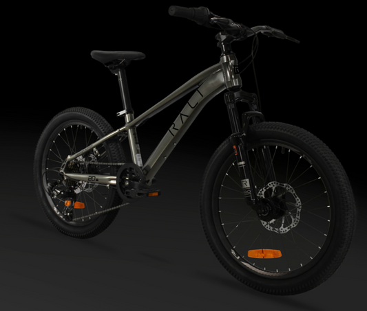 BICICLETA RALI 20" GRIS