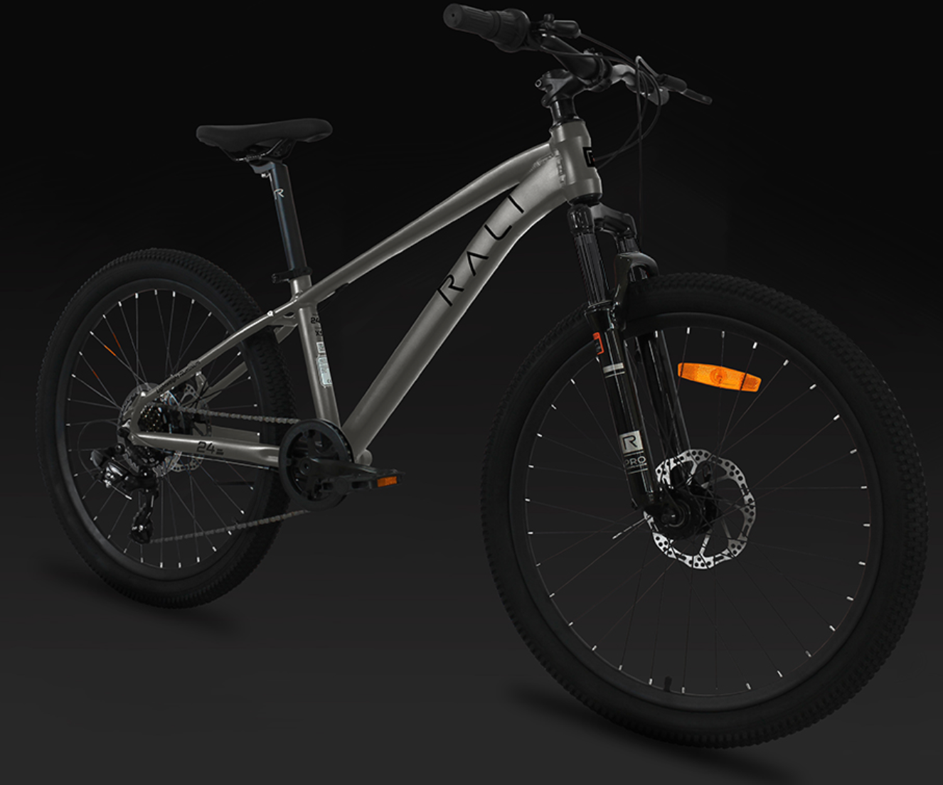 BICICLETA RALI 24" PRO 0 PLATA