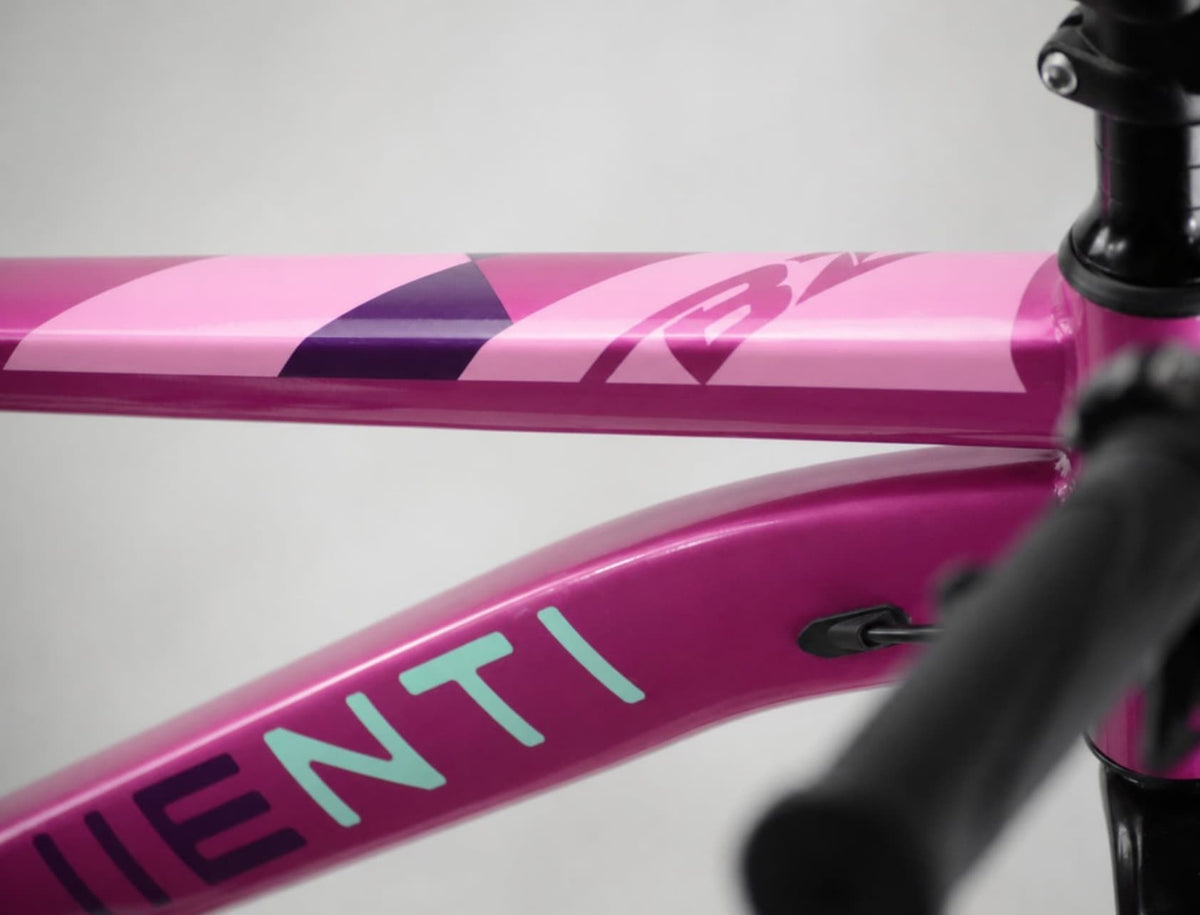 Bicicleta WENTI BZ ROSA