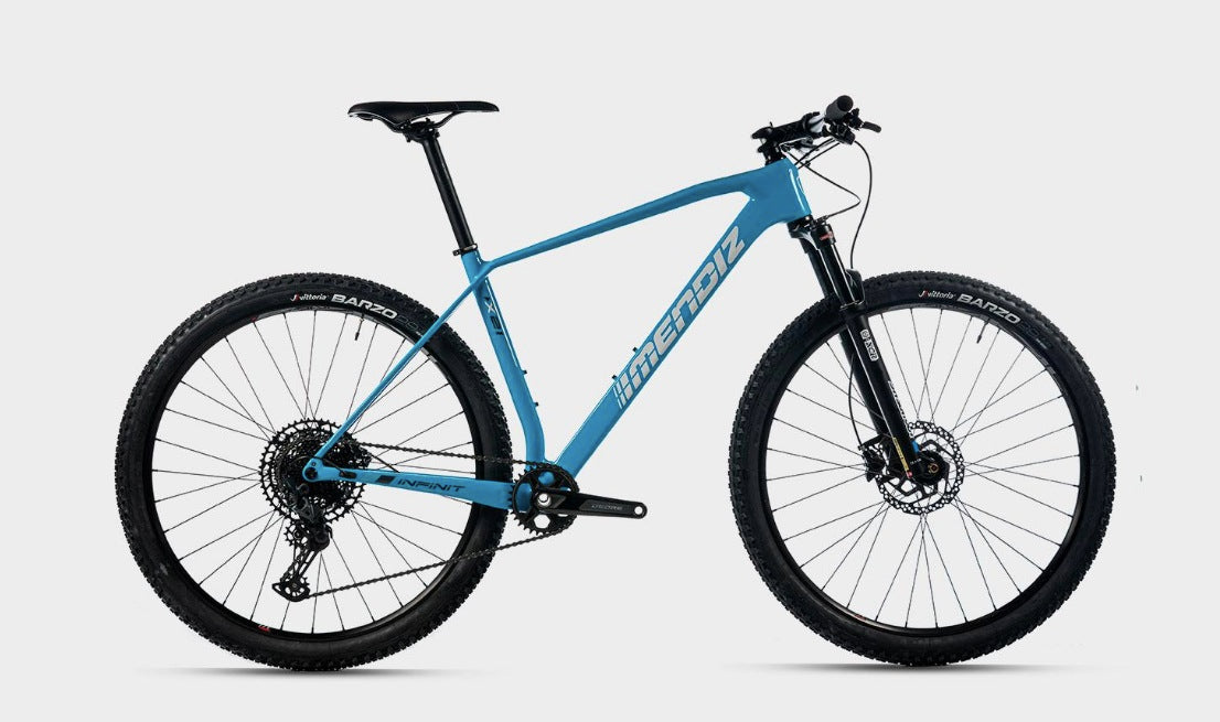 BICICLETA MONTAÑA CARBONO MENDIZ X 21