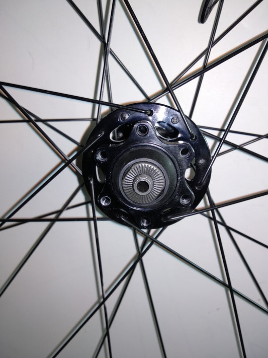 RUEDA DELANTERA DT SWISS 445D 26" DISCO