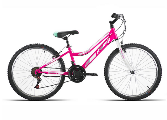 BICICLETA WENTI G300 RIGIDA
