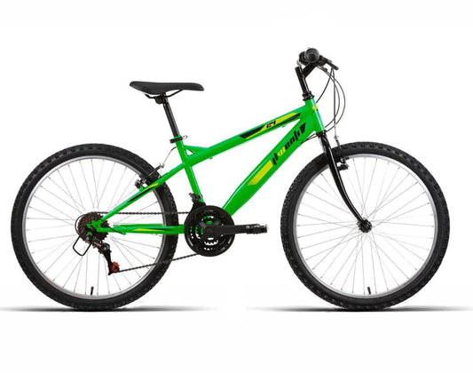 BICICLETA WENTI 24" VERDE