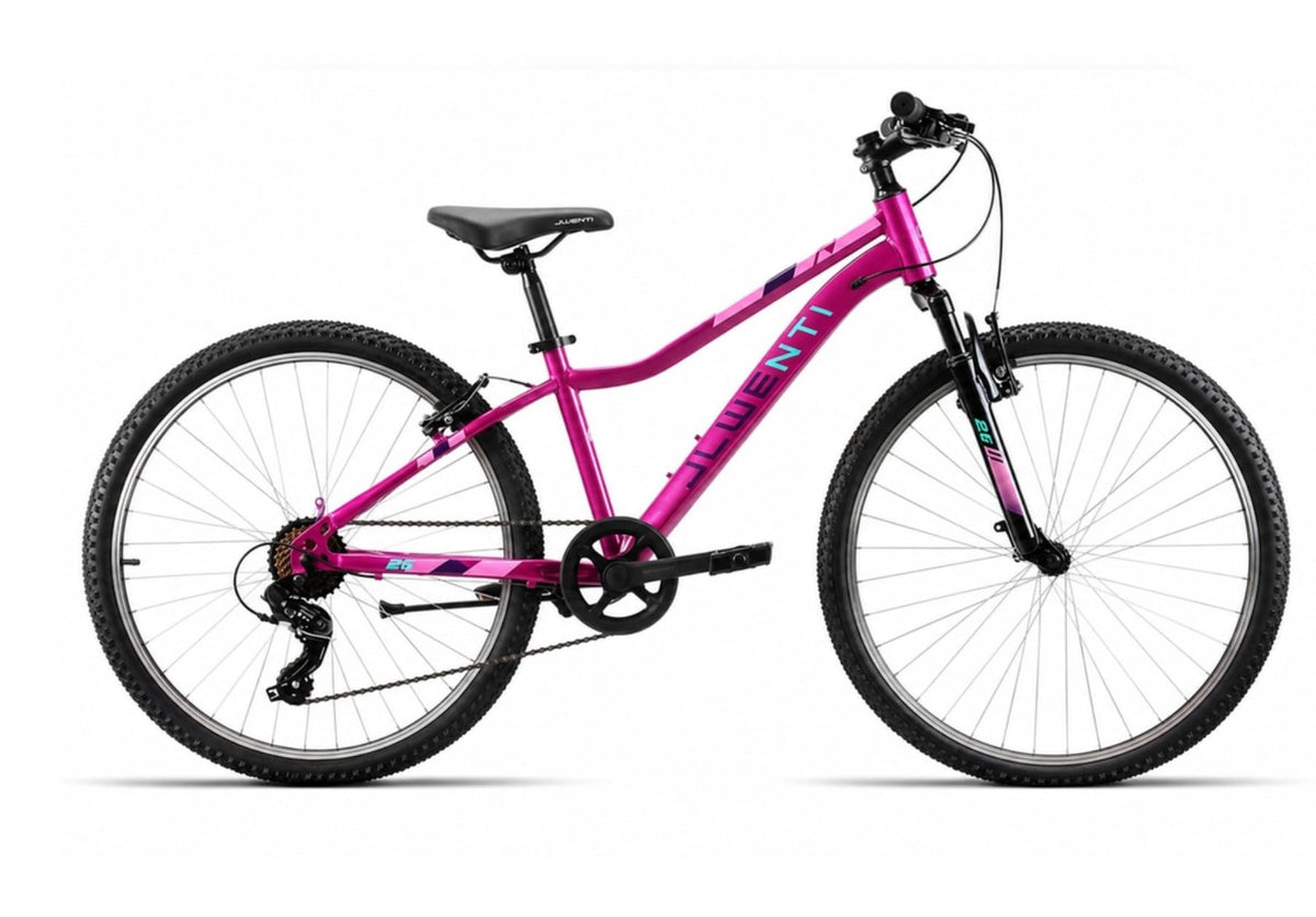 Bicicleta WENTI BZ ROSA