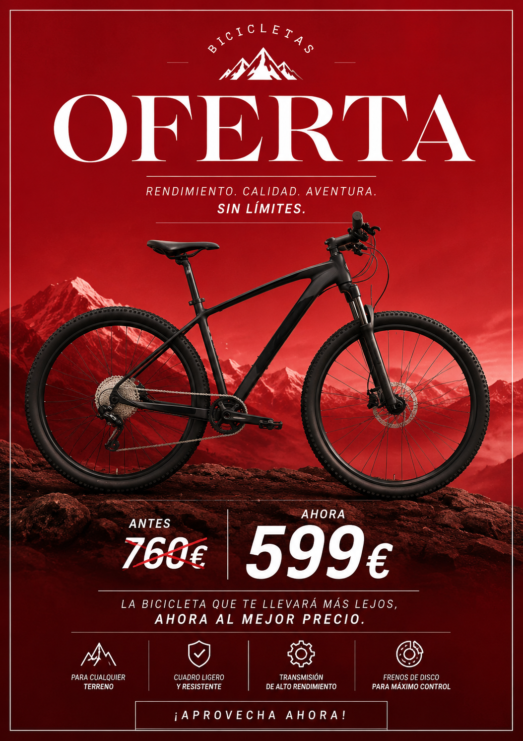 Bicicleta RALI RPRO GRIS