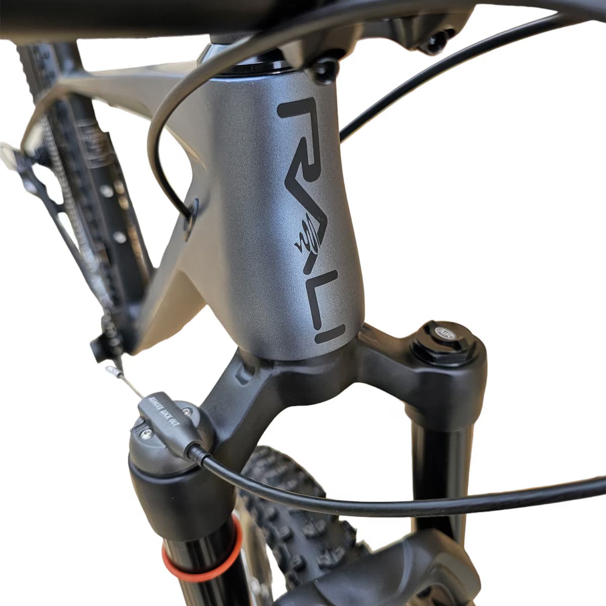 BICICLETA CARBONO RALI C6