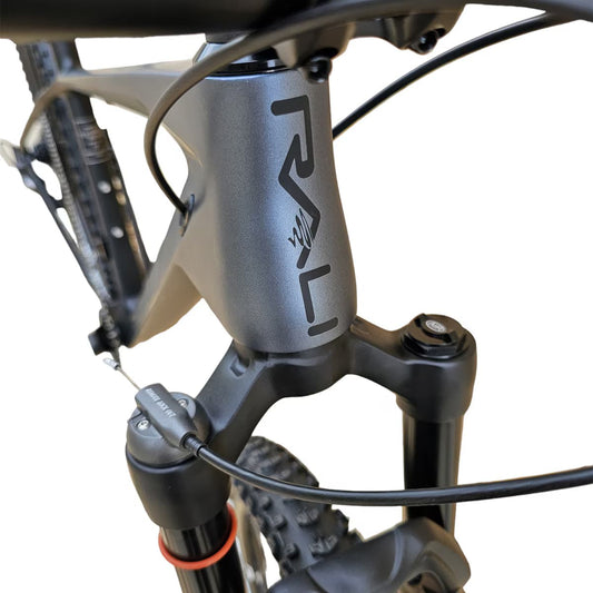 BICICLETA CARBONO RALI C6