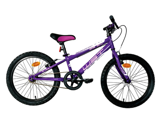 BICICLETA WST  1 VEL VIOLA