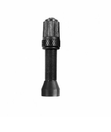 VALVULA  TUBELESS GRUESA